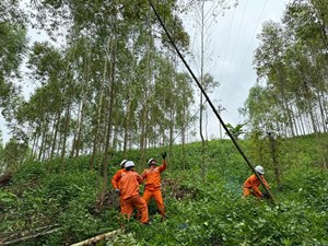 Tổng công ty Điện lực miền Bắc: Sẵn sàng các phương án đảm bảo cung cấp điện dịp nghỉ lễ Quốc khánh 2/9/2024