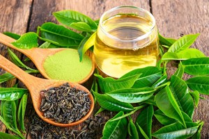 Một tách trà mỗi ngày - Lá chắn chống viêm hiệu quả