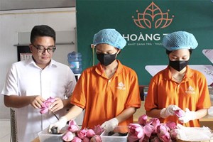 Hợp tác xã Hoàng Trà – Nâng tầm trà sen Hà Nam