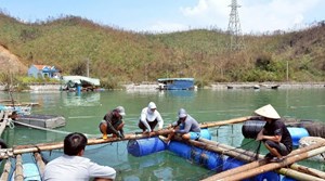 Ngành thủy sản “gặp khó” sau bão Yagi