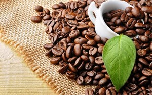 Tưởng lạ mà quen với trà lá cà phê