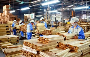 Xuất khẩu gỗ sang Mỹ thu về 6,8 tỷ USD