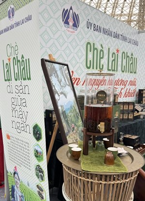 SHAN mang dấu ấn trà cổ thụ Lai Châu đến Tea Show 2025