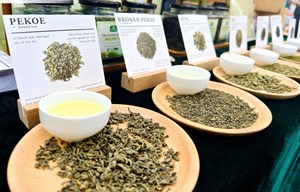 Chè Mỹ Lâm – Hương vị từ đồi chè Tuyên Quang tỏa sáng tại Tea Show 2025