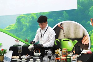 Hành trình sáng tạo và dấu ấn ẩm thực tại Tea Masters Cup 2025