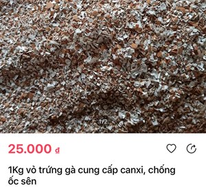 Bản tin tiêu dùng ngày 23/11: Đủ thứ rác thải bỏ đi, lên chợ mạng bán thu tiền triệu