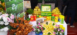 Thái Nguyên: Đặc sắc Ngày Hội văn hóa Trà và giới thiệu các sản phẩm tiềm năng xã Phú Đô năm 2022