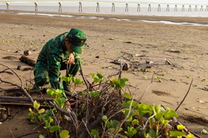 Đồn Biên phòng Trường Long Hòa làm tốt nhiệm vụ bảo vệ chủ quyền an ninh biên giới biển