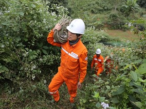 Tổng công ty Điện lực miền Bắc đảm bảo điện phục vụ sản xuất cuối năm 2024 và sản xuất hàng Tết Nguyên đán Ất Tỵ 2025