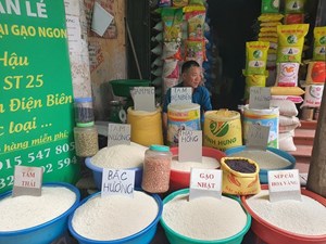 Giá gạo Việt chịu áp lực giảm khi thị trường Philippines tạm dừng nhập khẩu 