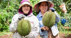 Rau quả Việt lội ngược dòng tại Trung Quốc, lập kỷ lục gần 5 tỷ USD