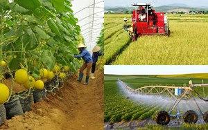 Nông nghiệp Việt Nam lập kỷ lục mới