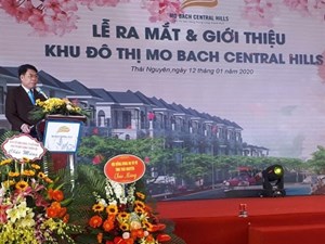 Bất động sản năm 2020: Thị trường sàng lọc mạnh, đất nền vẫn sẽ “hot"