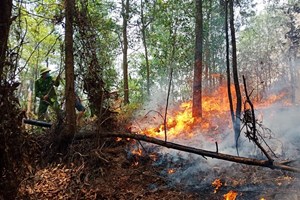 UBND Hà Tĩnh yêu cầu các địa phương làm rõ việc thu, nộp quỹ phòng chống thiên tai đạt kết quả quá thấp