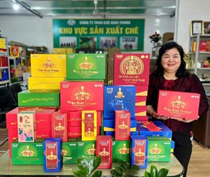 Nữ doanh nhân điển hình tiên tiến trong phong trào xây dựng Nông thôn mới