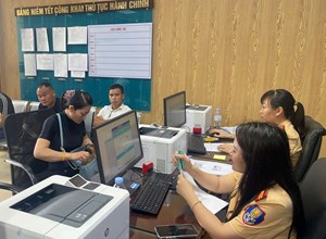 Hải Phòng triển khai làm sạch dữ liệu giấy phép lái xe