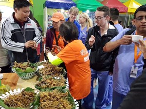 Ứng dụng khoa học và công nghệ phát triển sản phẩm sâm Ngọc Linh