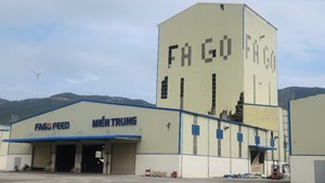 Sớm có giải pháp phục hồi doanh nghiệp tại Gia Lai sau bão lũ