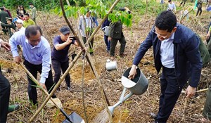 Thừa Thiên- Huế: Lễ ra quân hưởng ứng “Tết trồng cây đời đời nhớ ơn Bác Hồ”