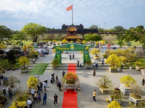 Hoàng mai Huế: Khơi dậy giá trị di sản trong dòng chảy kinh tế du lịch