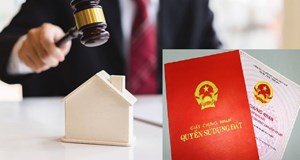Thừa Thiên Huế: Sắp đấu giá 81 lô đất, giá khởi điểm thấp nhất 392 triệu đồng / lô đất