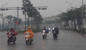 Ứng phó với rét đậm, rét hại và gió mạnh trên biển trong những ngày tới