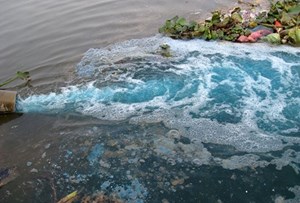Đà Nẵng: Phạt hơn 180 triệu đồng vì xả nước thải chứa coliform vượt quy chuẩn
