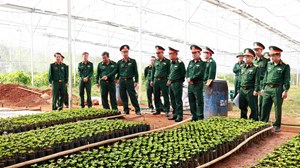 Đoàn Kinh tế - Quốc phòng Quảng Sơn: Giữ đất, giữ rừng, tạo sinh kế, củng cố “thế trận lòng dân”