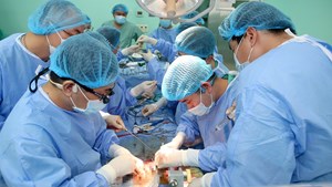 Ba kỷ lục ghép tạng trong 48 giờ tại Bệnh viện Huế