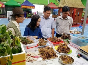 “Made in Da Nang Expo 2026”: Tôn vinh sản phẩm đặc trưng, mở rộng không gian xuất khẩu