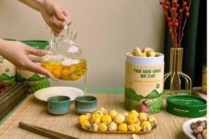 Trà hoa vàng Việt Nam: 'Vàng ròng' quý hiếm, bí quyết cho người máu nhiễm mỡ