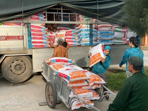 Giải quyết việc làm cho thanh niên: Hiệu quả từ chương trình cho vay của NHCSXH tại Ba Đồn
