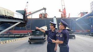 Bộ máy "tinh gọn - mạnh mẽ": 20 Chi cục Hải quan khu vực đi vào hoạt động từ 1/7