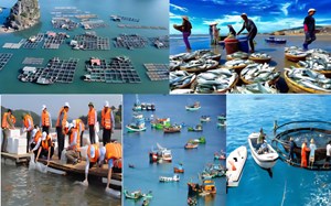 Thủy sản Việt Nam chuyển mình – Địa phương nắm quyền, cộng đồng lên tiếng