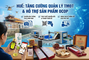 Huế tăng cường quản lý thương mại điện tử, hỗ trợ sản phẩm OCOP tiếp cận thị trường số