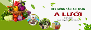 Kinh tế tập thể, HTX đổi mới phát huy giá trị góp phần phát triển tỉnh Thừa Thiên Huế