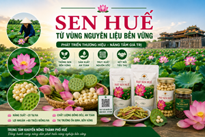 Phát triển thương hiệu sen Huế từ vùng nguyên liệu bền vững