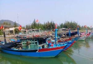 Thừa Thiên Huế kiên quyết không cho tàu cá rời cảng/xuất bến nếu không đủ điều kiện an toàn