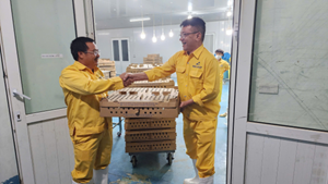Giá trứng tăng mạnh, Hòa Phát vẫn lãi lớn