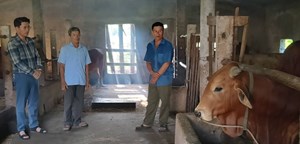 Mô hình kinh tế tổng hợp trên vùng đất cát Trung Thuần