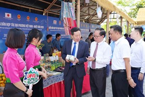 Không gian trưng bày Việt Nam – Nhật Bản tại Huế kết nối địa phương và doanh nghiệp
