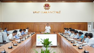Huế định hình nông nghiệp theo chuỗi giá trị 