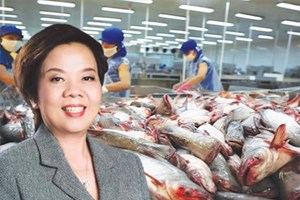 Cá tra vào thực đơn chuỗi sushi Nhật, cổ phiếu Vĩnh Hoàn tăng trần