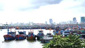 Đà Nẵng tập trung cao độ bảo đảm an toàn cho 168 tàu đang hoạt động trên vùng biển xa