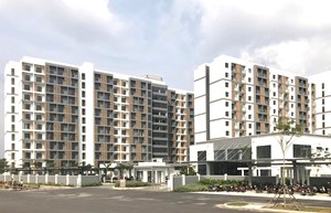 Hoiana: Lan tỏa giá trị nhân văn giữa thử thách thiên tai