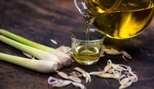 Cây sả – từ vị thuốc dân gian đến nhu cầu chuẩn hóa nhận thức sử dụng