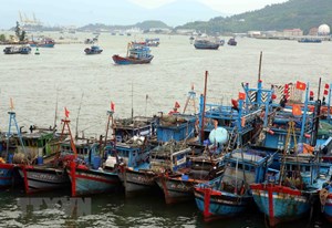 Bình Định cấm biển, đưa tàu vận tải đến các vùng biển an toàn