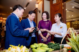 Huế có nhiều món được vinh danh nhất trong “Hành trình tìm kiếm giá trị Văn hoá Ẩm thực tiêu biểu Việt Nam" giai đoạn I 