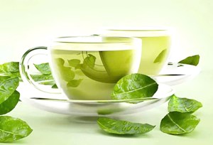 Chè vằng: “vàng xanh” từ vùng gò đồi Quảng Trị