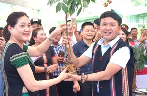 Sâm Ngọc Linh trước yêu cầu kiến tạo một ngành kinh tế mới